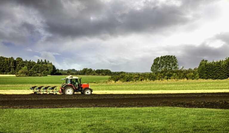 U Sjenici održan 21. poljoprivredni sajam poljoprivrede!